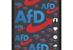 IMAGE: TikTok screen and AfD logos