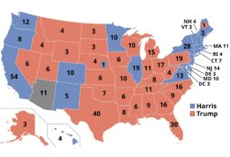 IMAGE: US Presidential elections 2024